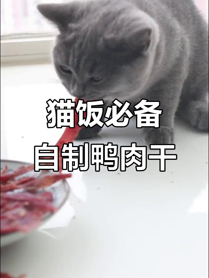 自制鸭肉干，猫咪最爱营养美味小零食