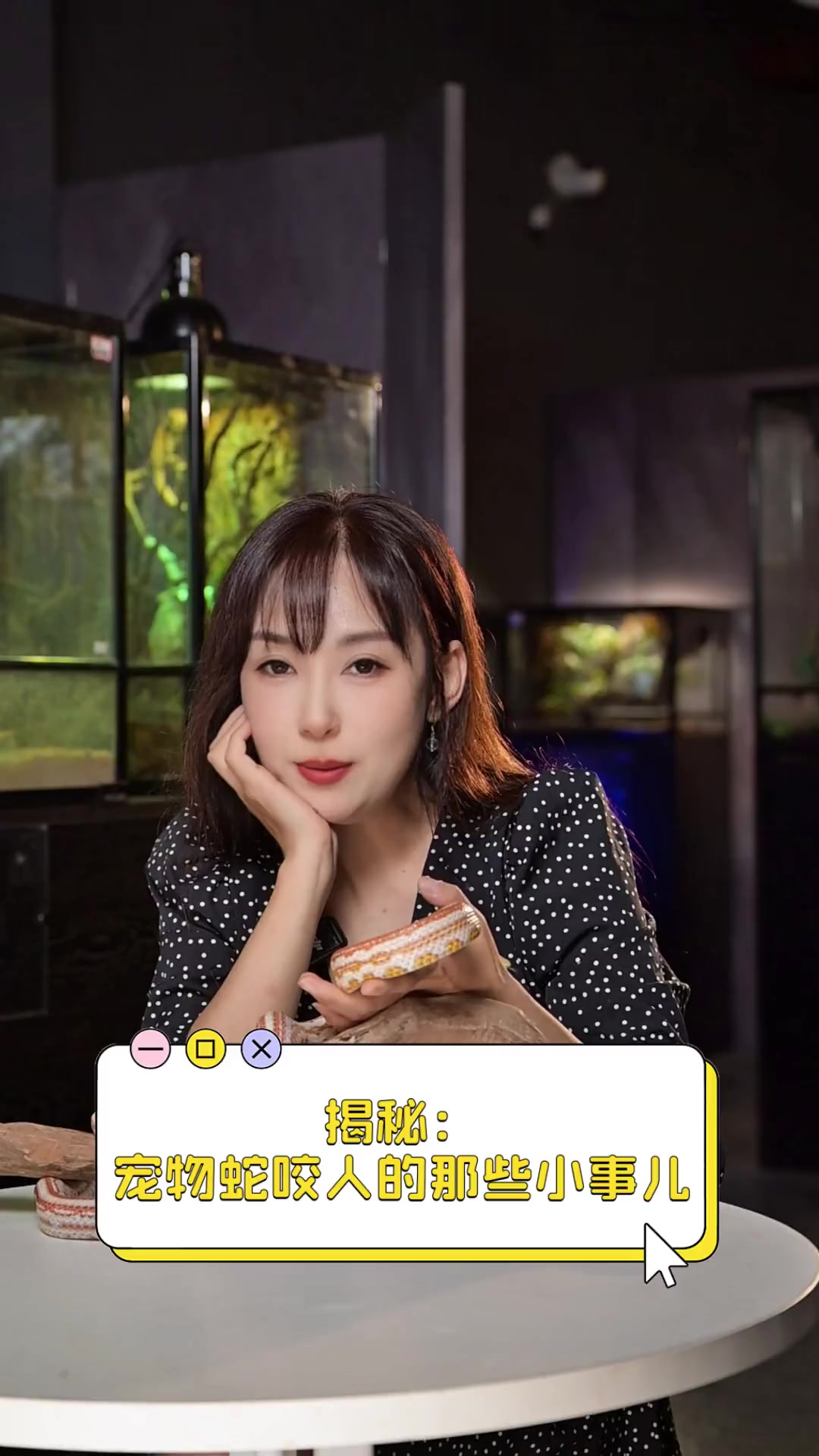 揭秘:宠物蛇咬人的那些小事儿