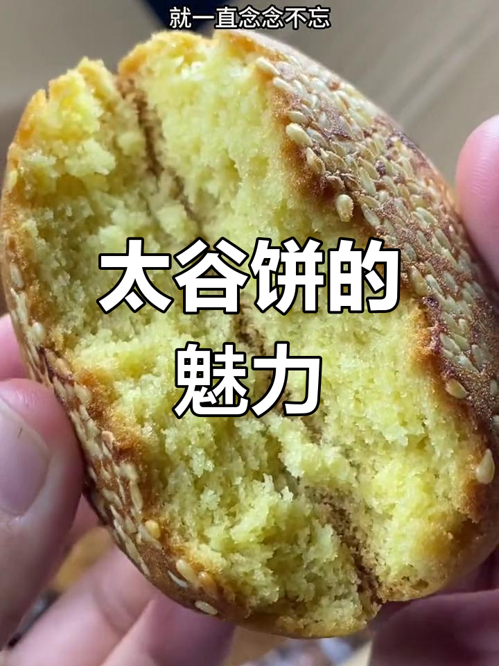 山西太谷饼,老字号美味,值得一试!