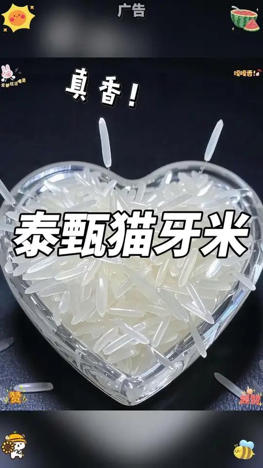 猫牙茉莉香米｜花小钱，吃好米 米粒修长如月牙，通体晶莹泛着珍珠光泽，纤细形态恰似猫牙般精巧