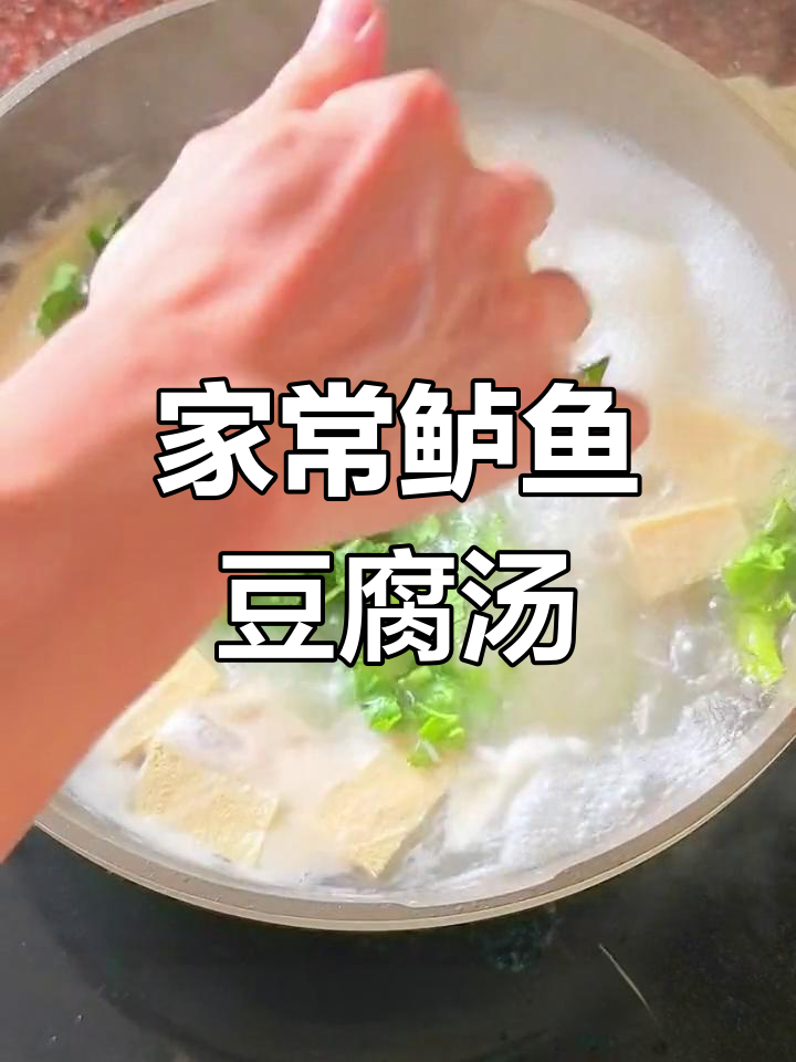 鲈鱼豆腐汤,简单又美味,家常做法大揭秘