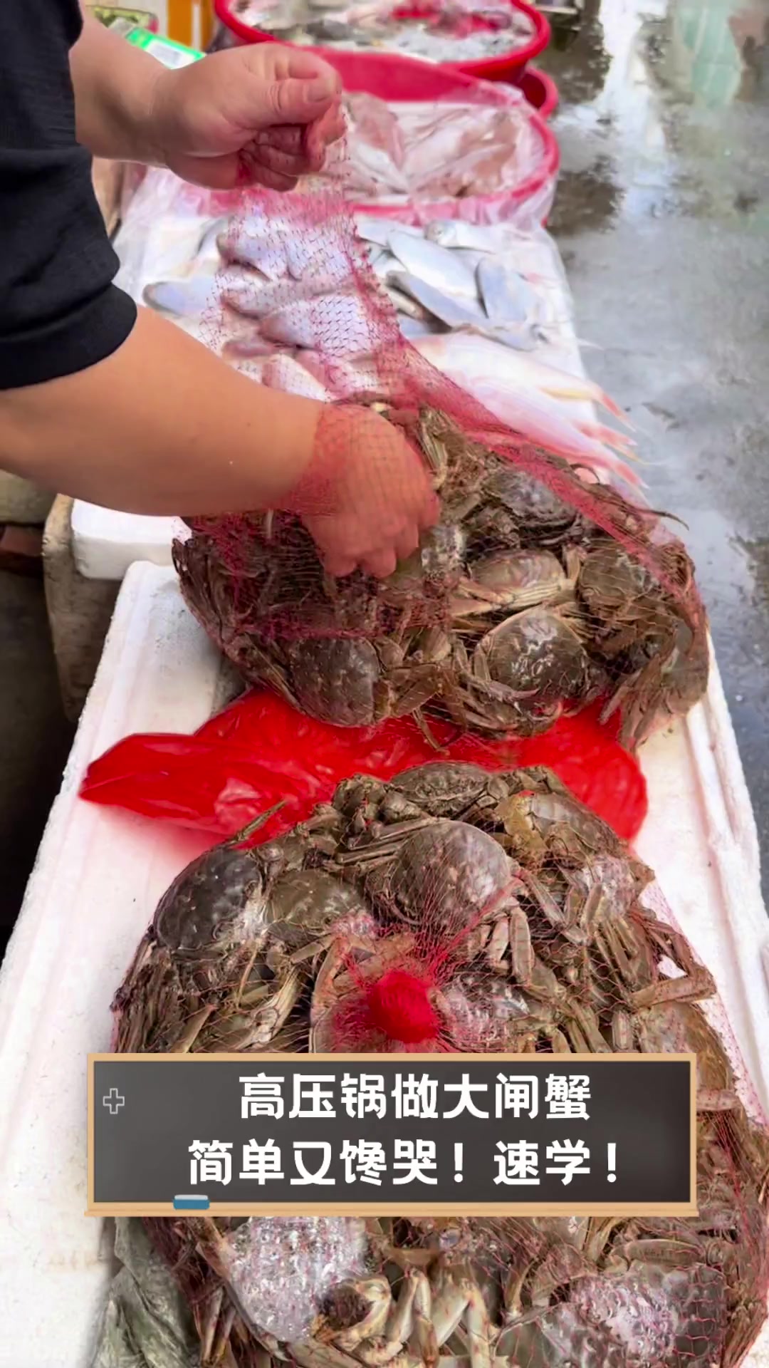 高压锅做大闸蟹,简单又馋哭!速学!