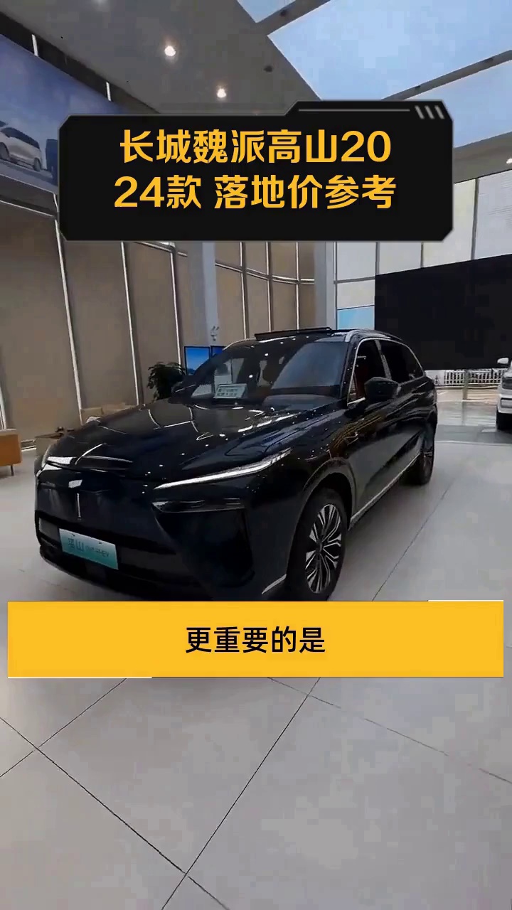 长城魏派高山2024款 落地价参考