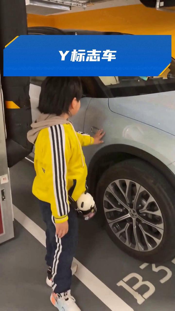 Y标志车