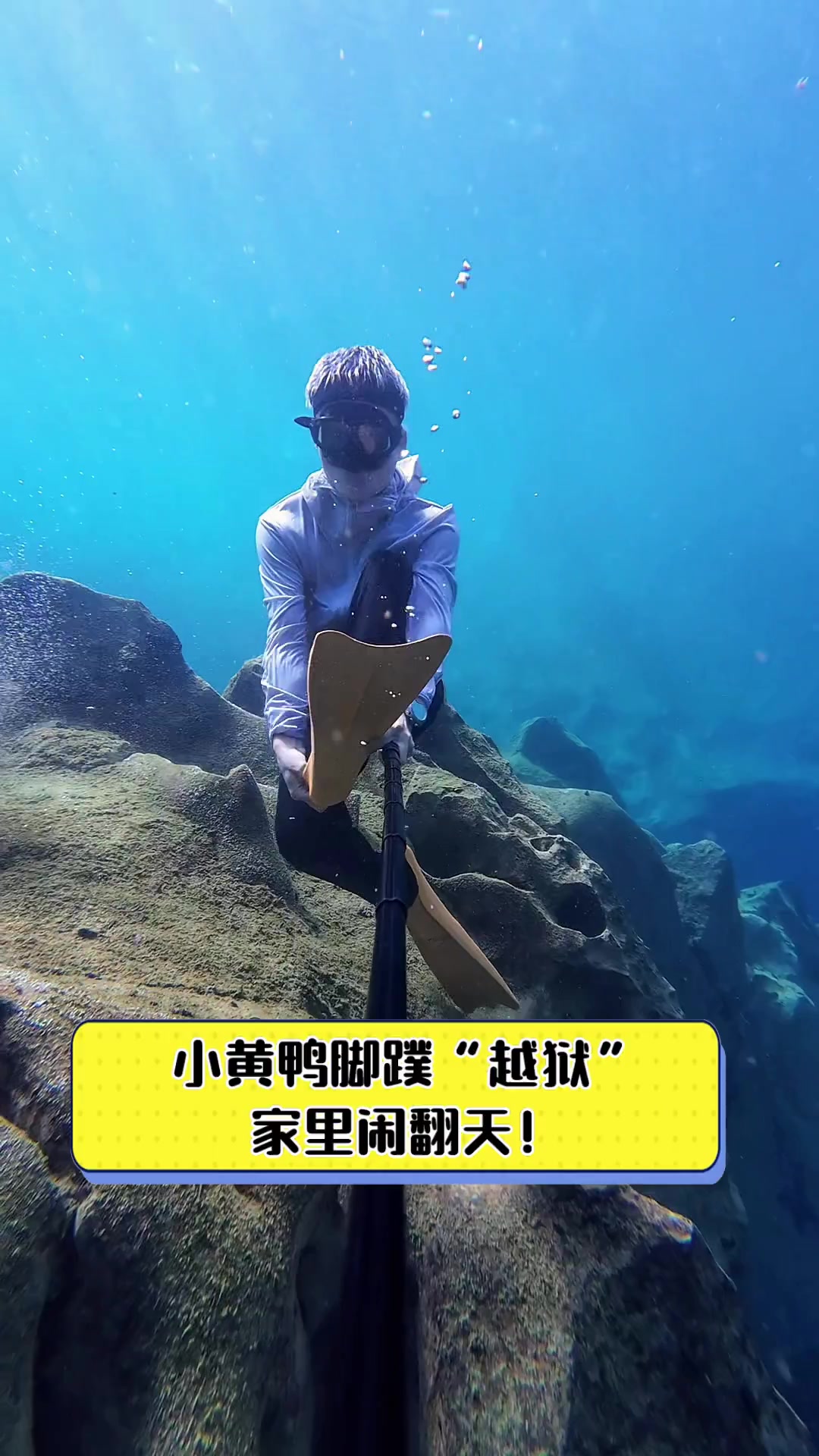 小黄鸭脚蹼“越狱”,家里闹翻天!