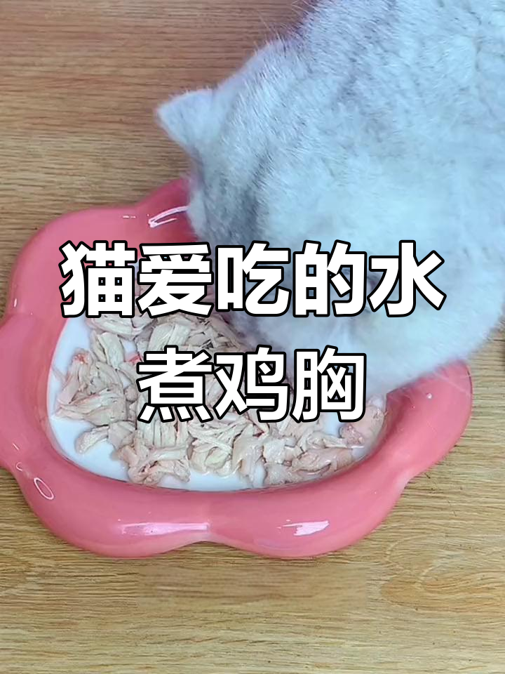 如何煮鸡胸肉,猫咪最爱吃的水煮方法