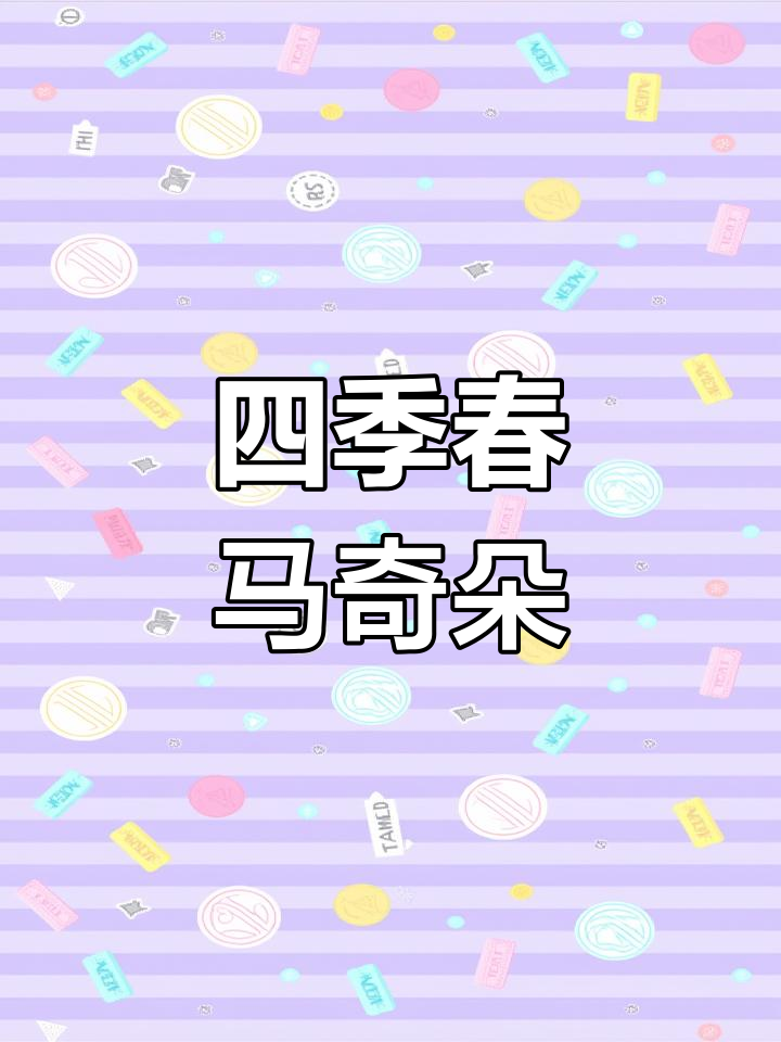 四季春芝士奶茶,清新口感升级