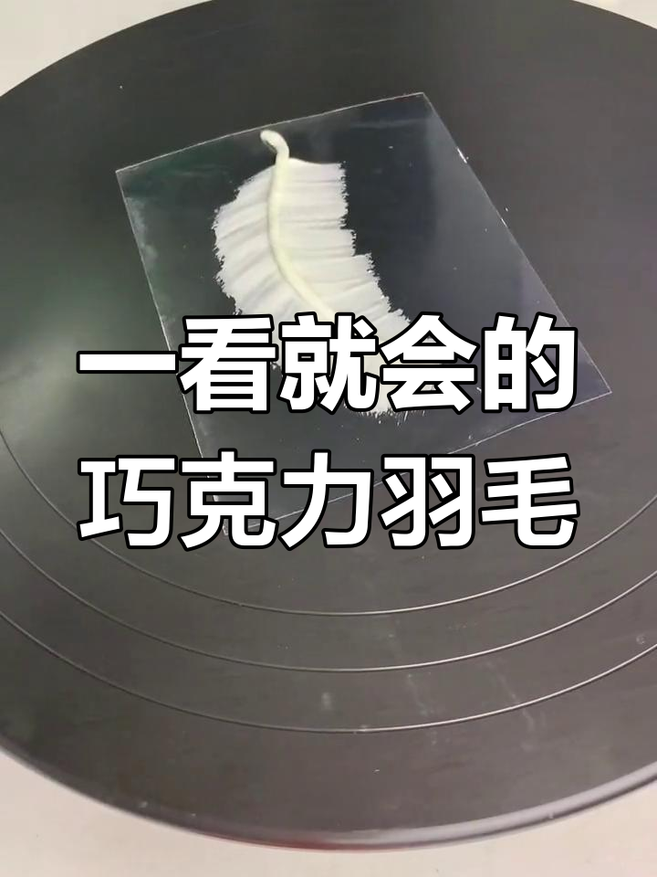 巧克力羽毛蛋糕,一看就会做,一学就废?试试吧!