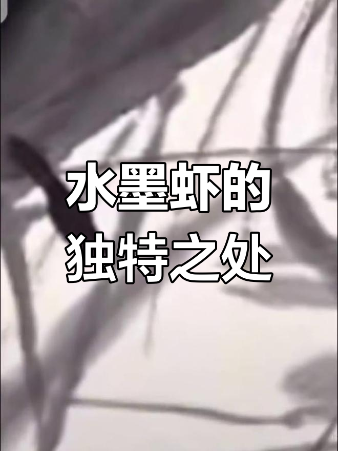 齐白石水墨虾的艺术魅力