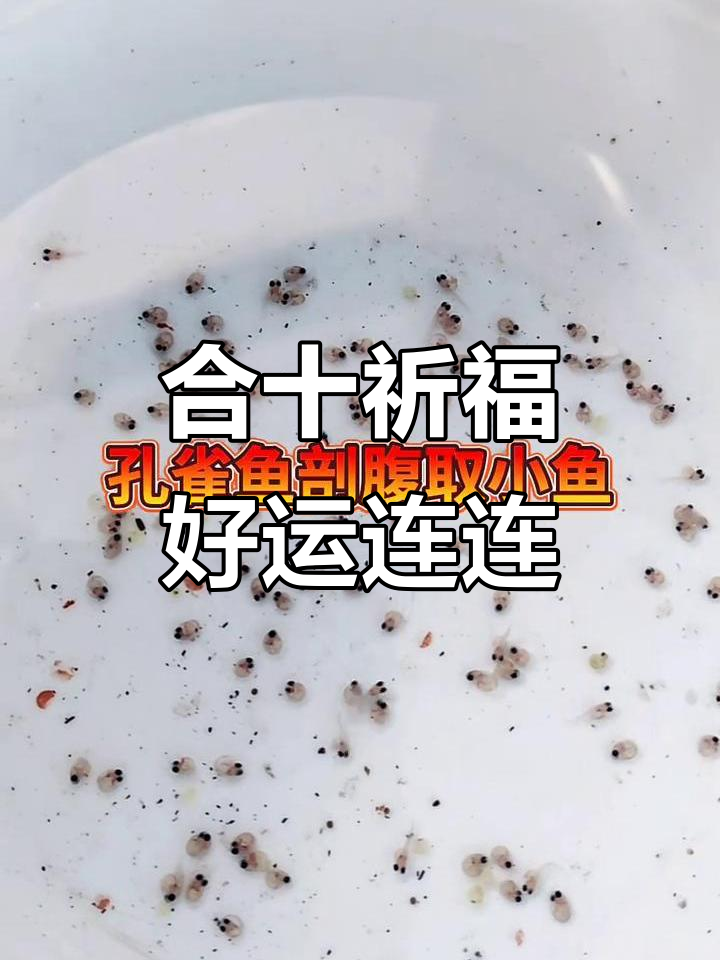 双手合十祈愿,深海蓝玻璃猫球体带来好运