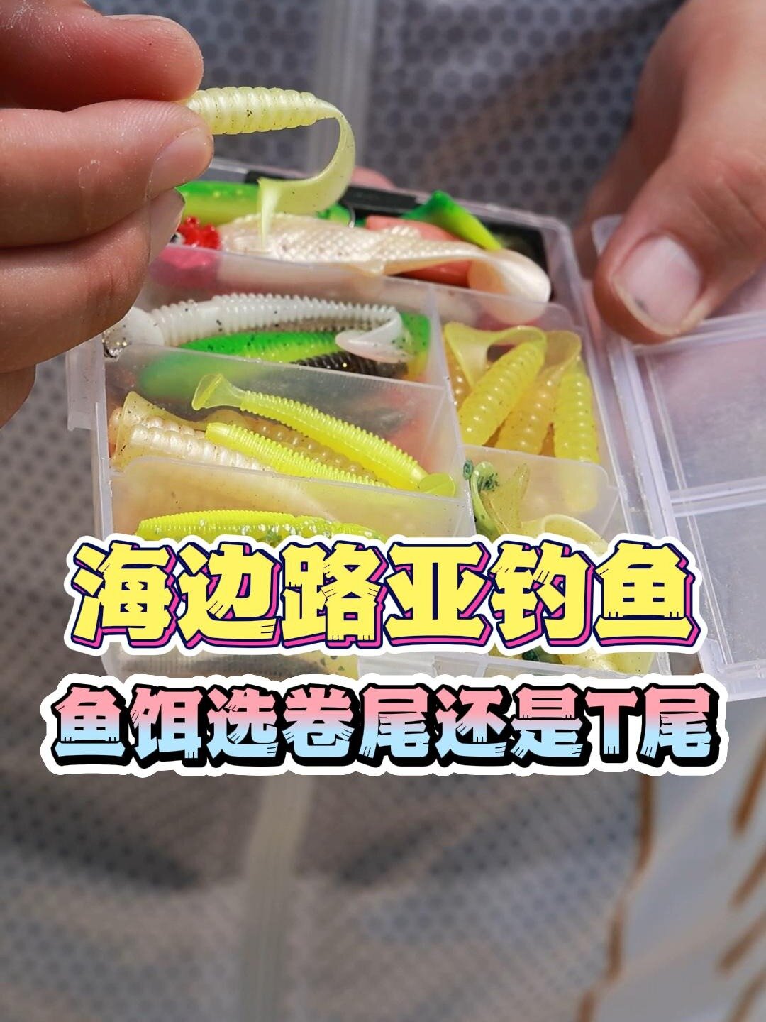 近海岸钓路亚,应该用卷尾还是T尾鱼饵?