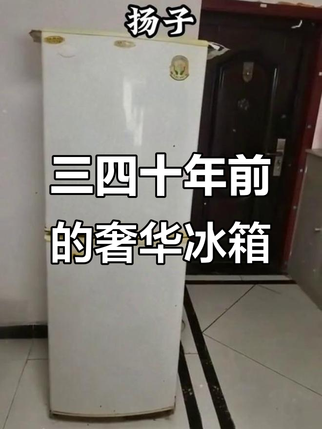 8090后童年记忆:那些奢侈冰箱品牌,你用过吗?