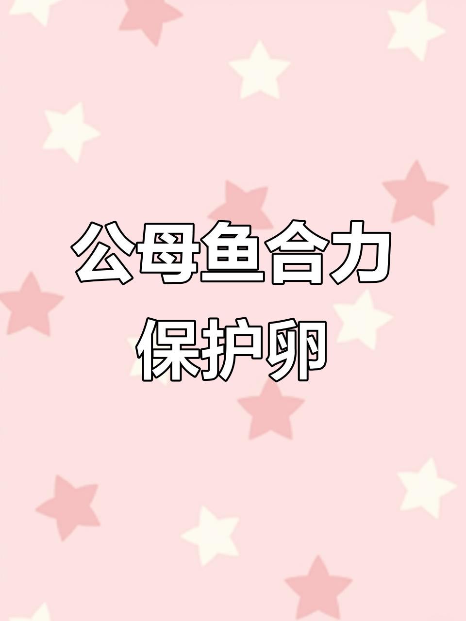 七彩神仙鱼公母联手护卵，动作惊人！