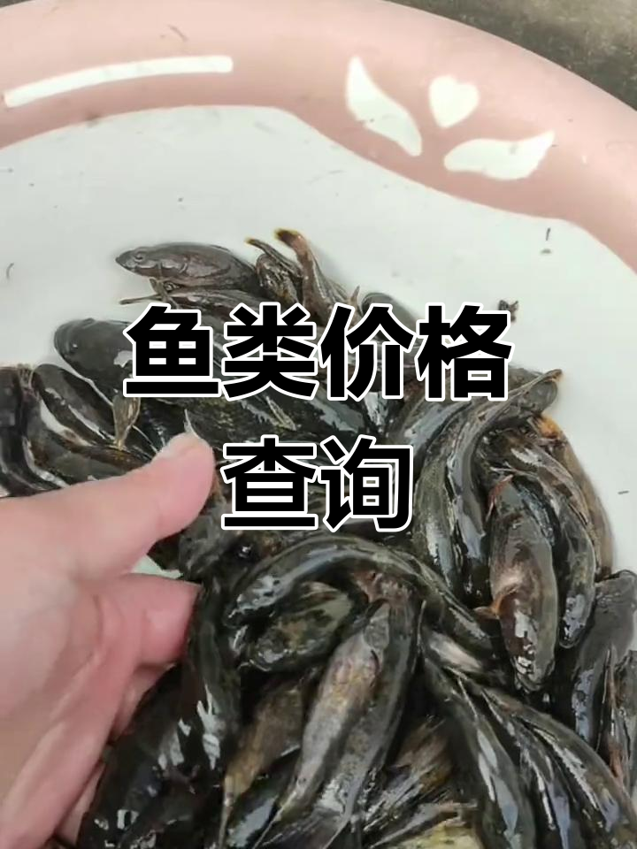 沙塘鳢、虎头鲨鱼苗价格,一斤多少钱?