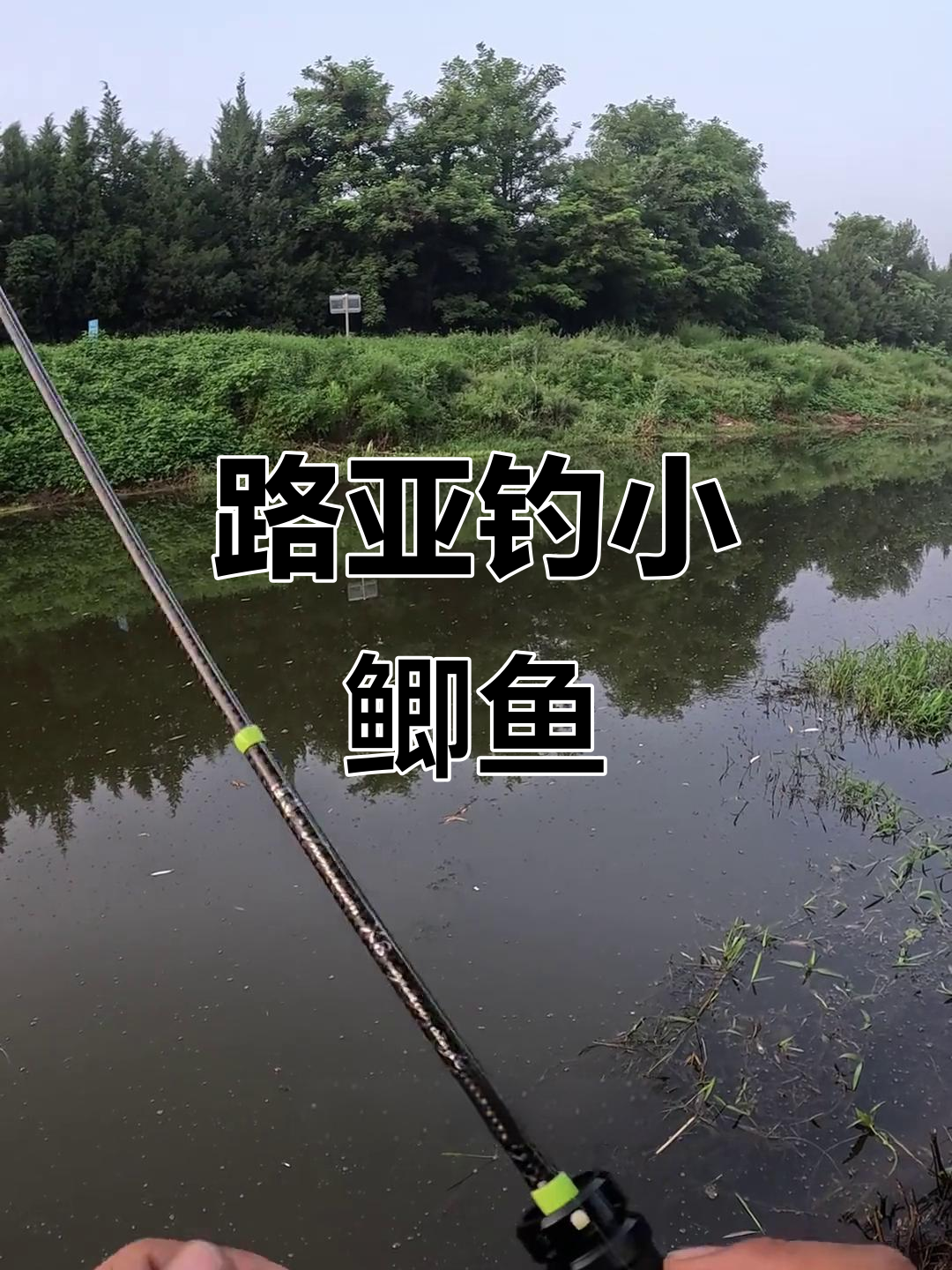 小河沟路亚钓小鲫鱼，逗钓软柱效果惊人