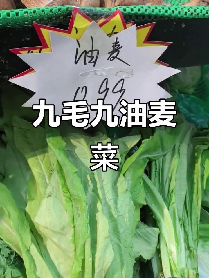 油麦菜九毛九斤,韭菜、黄瓜等蔬菜价格一览