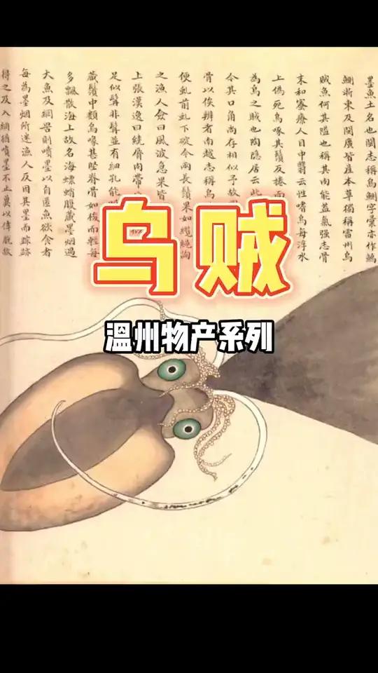 乌贼这点内容是翻了不少书,但是好吃就完了 温州 乌贼 墨鱼 花枝 温州话 温州方言 星河知