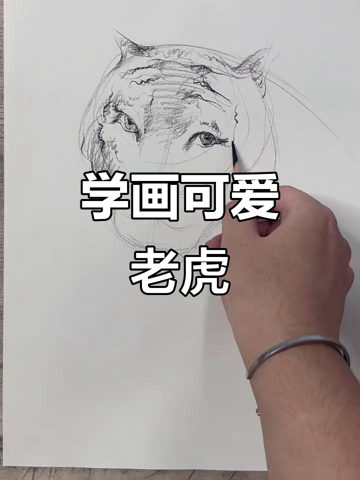 素描老虎教程,轻松掌握明暗关系与细节调整