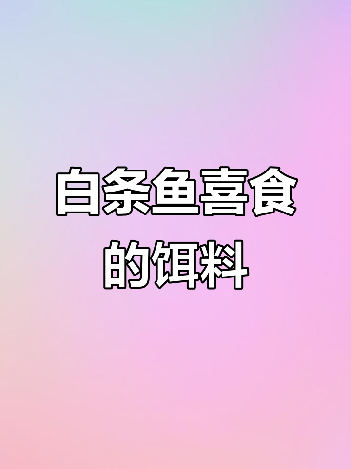 白条鱼最爱吃的饵料大揭秘,荤素搭配诱钓无敌