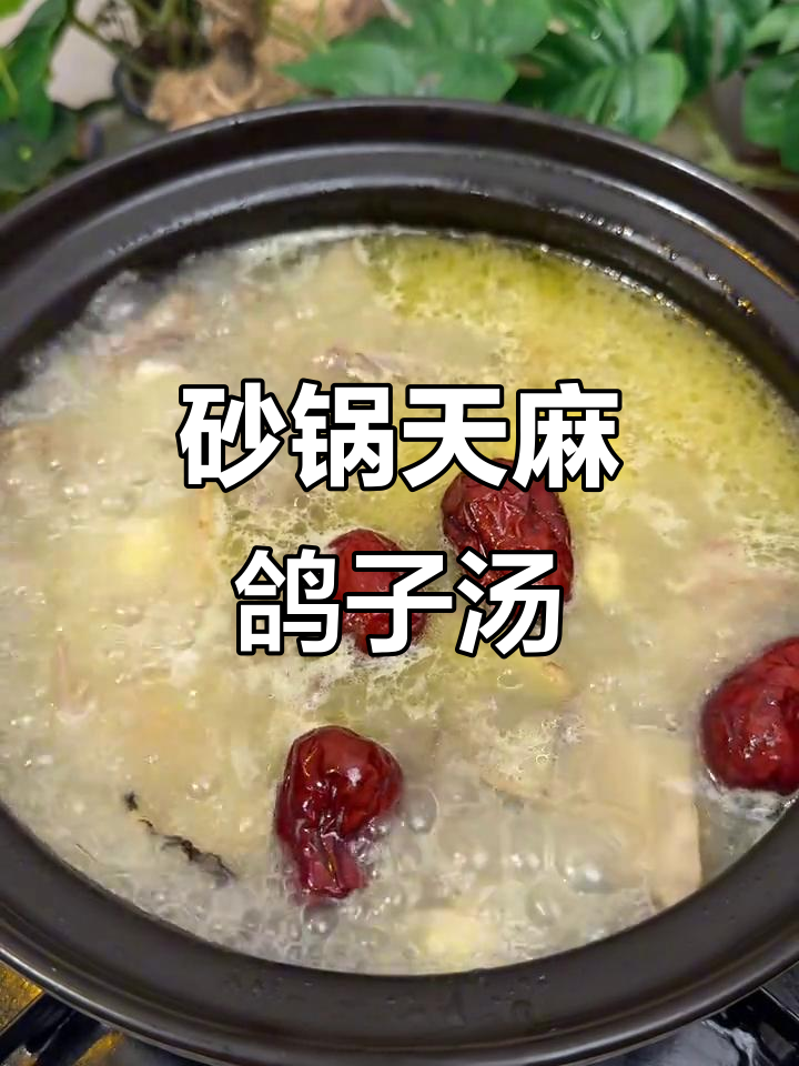 天麻鸽子汤,滋补养生效果惊人!
