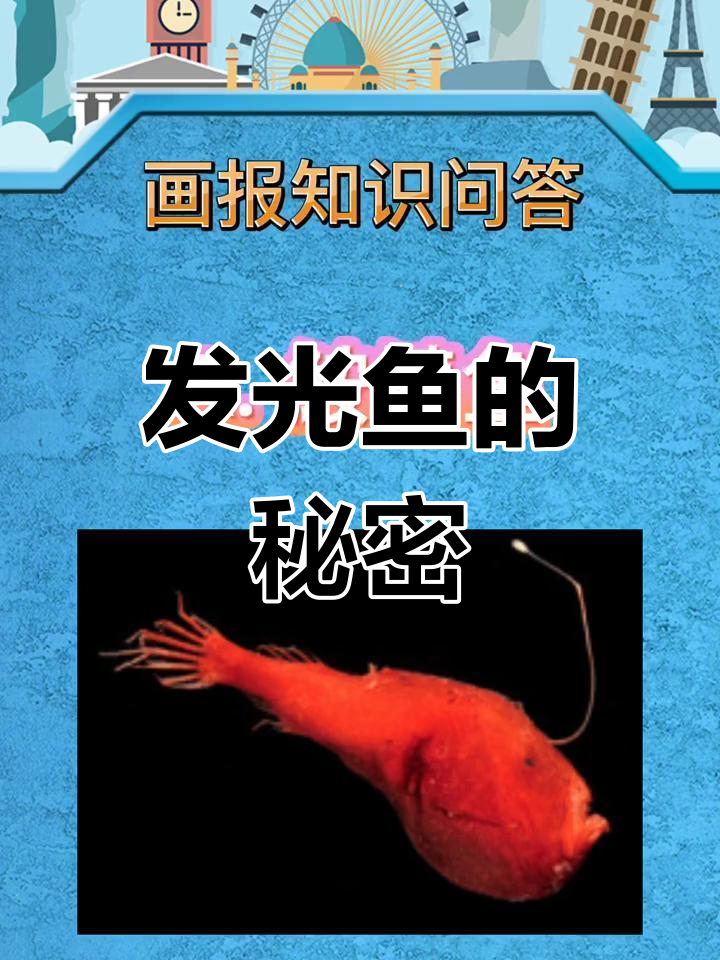 自带“小灯泡”的深海鱼种揭秘