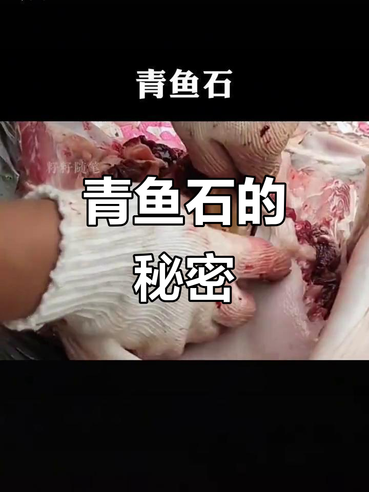 青鱼石原为咽喉齿,打磨后如玉般温润