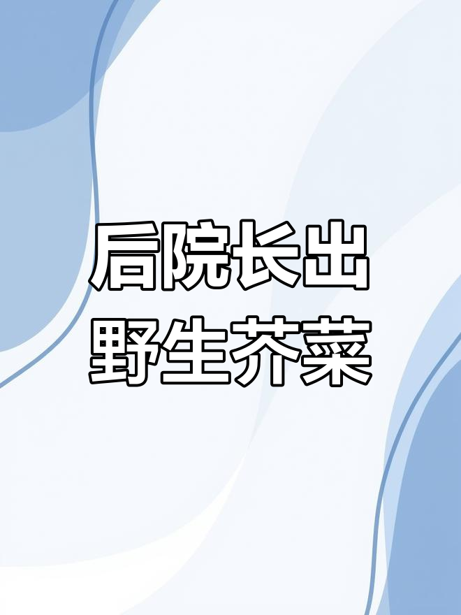 冬季后院惊现野生芥菜,生命力超乎想象