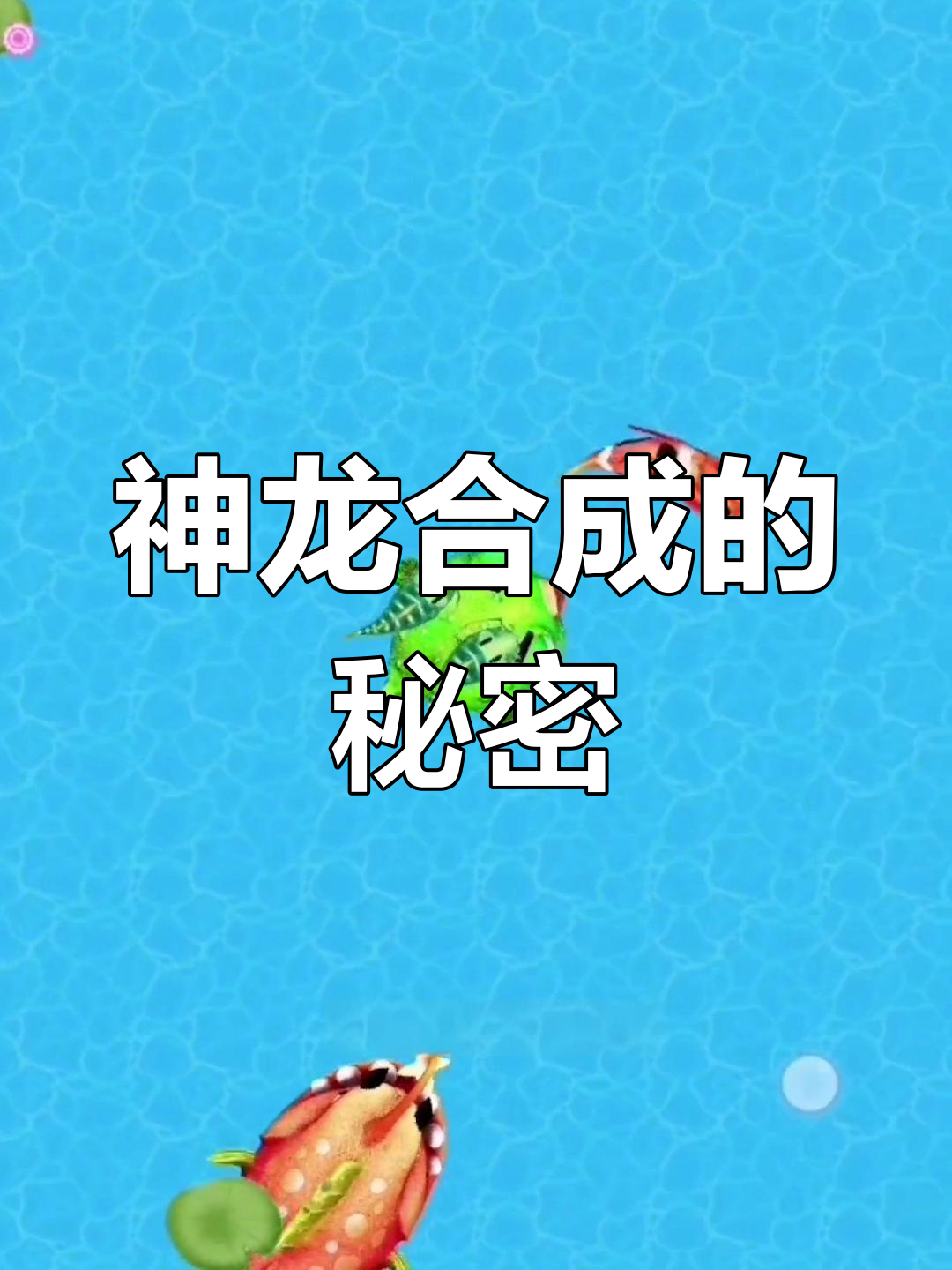 合成神龙之路,红鲤鱼与绿色斑鱼的奇妙冒险