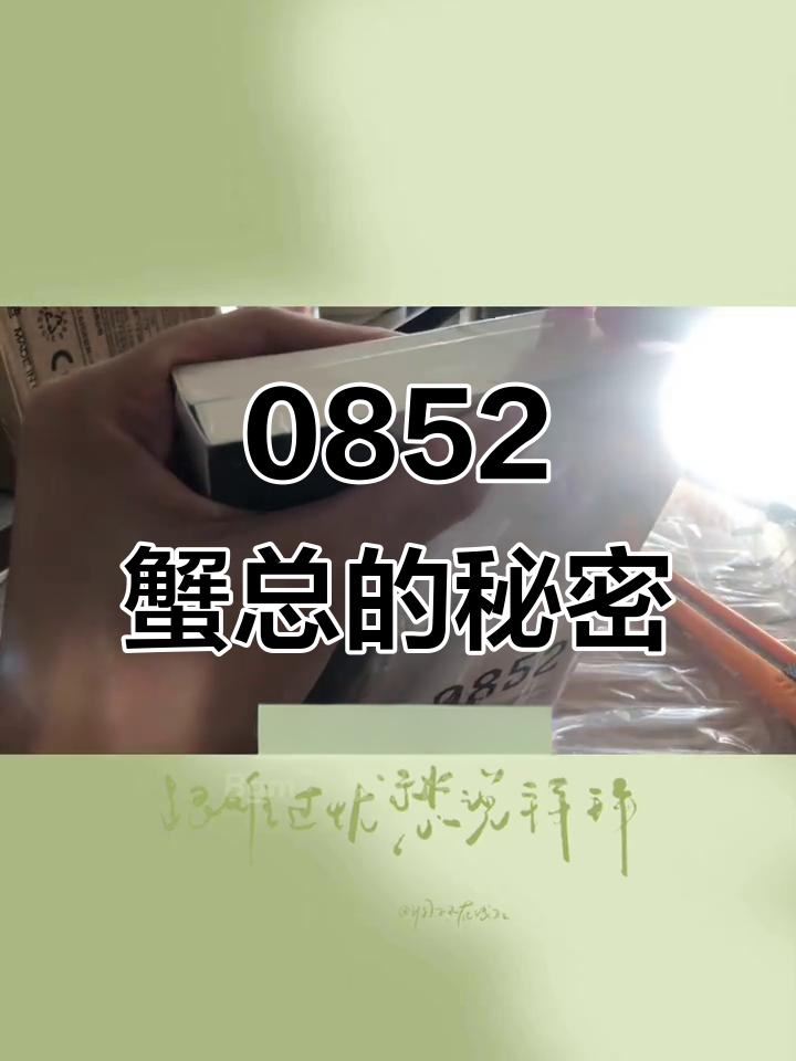 《0852上下》：蟹总带你解锁不一样的故事