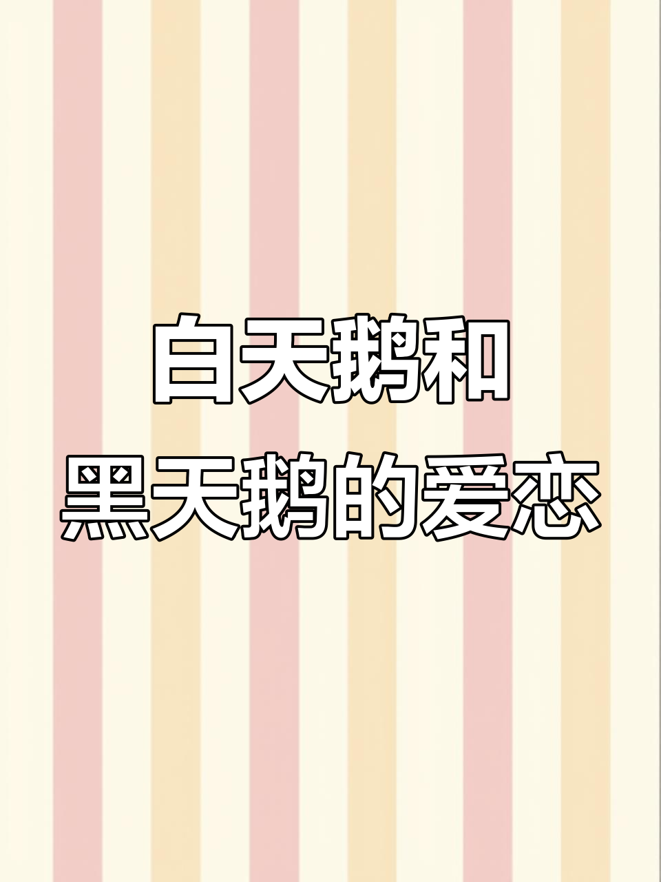 白天鹅与黑天鹅的爱情故事,美丽邂逅!