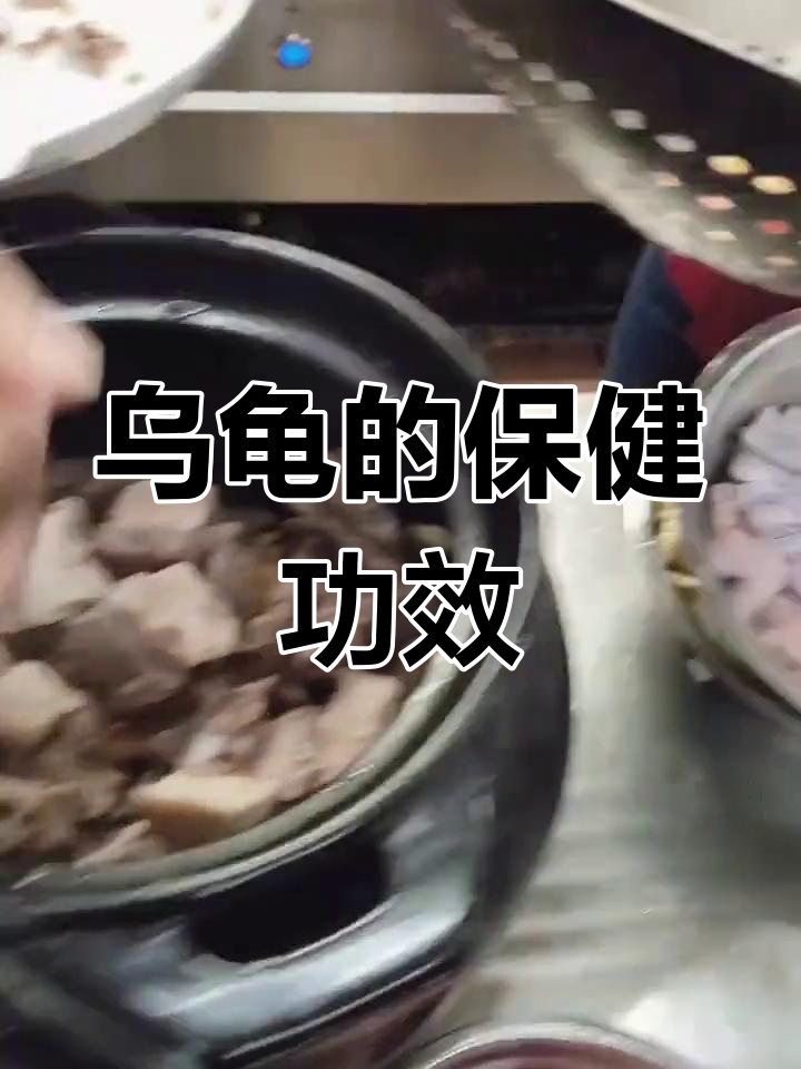 乌龟的营养价值与健康益处