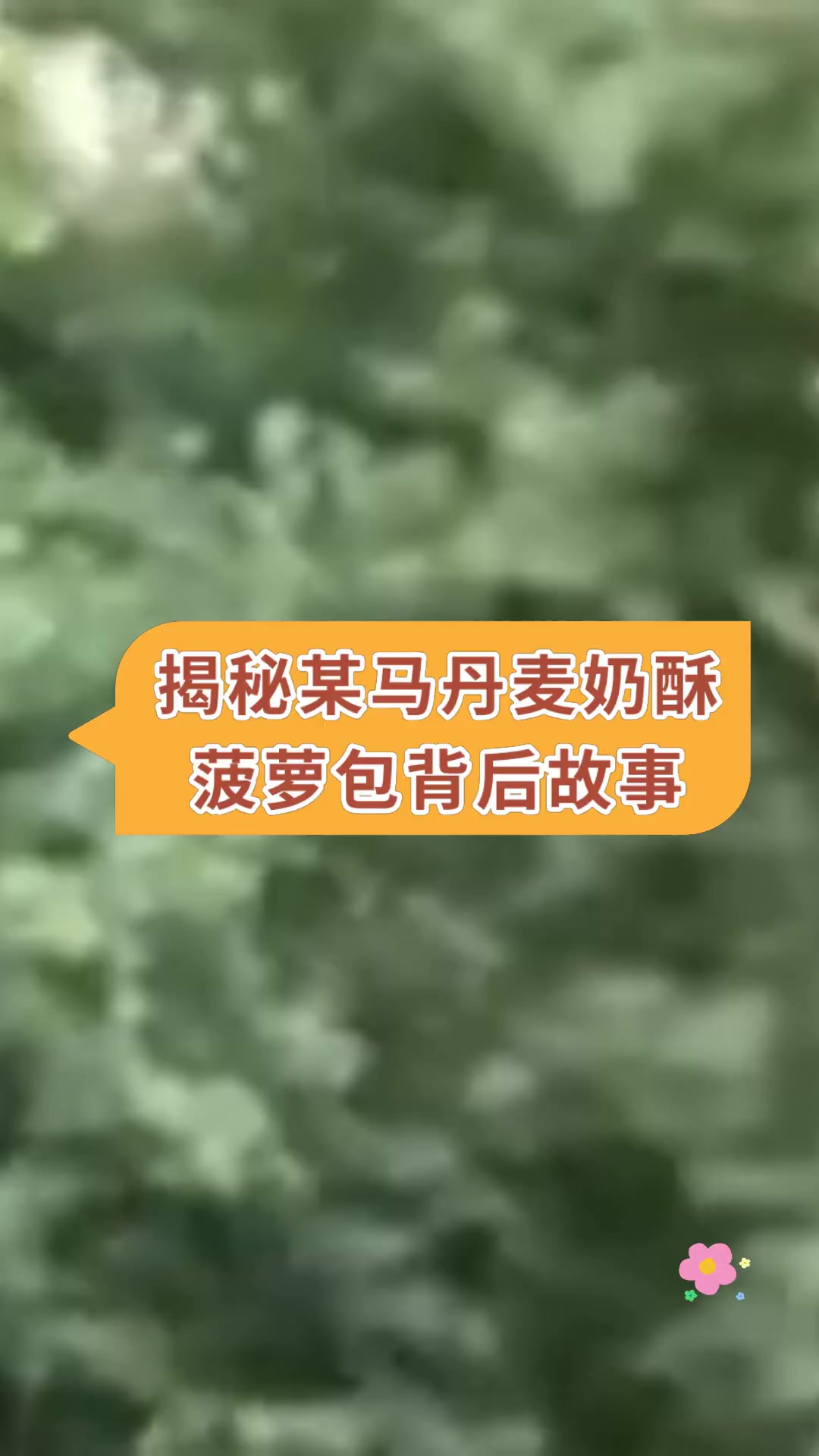 揭秘某马丹麦奶酥菠萝包背后故事