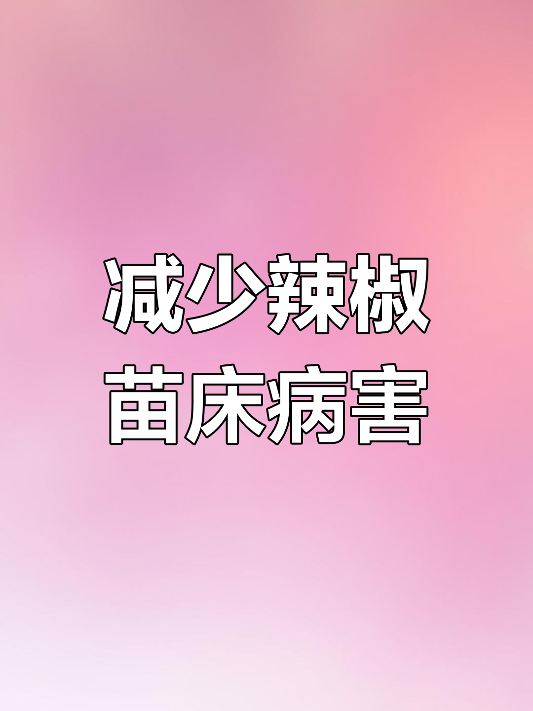 辣椒苗床病害防控三大要点,轻松搞定根部问题
