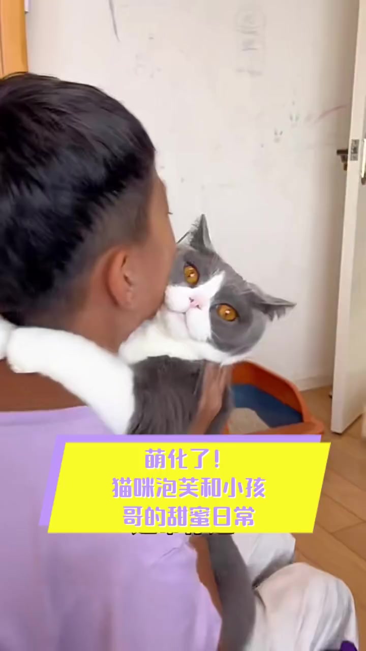 萌化了!猫咪泡芙和小孩哥的甜蜜日常