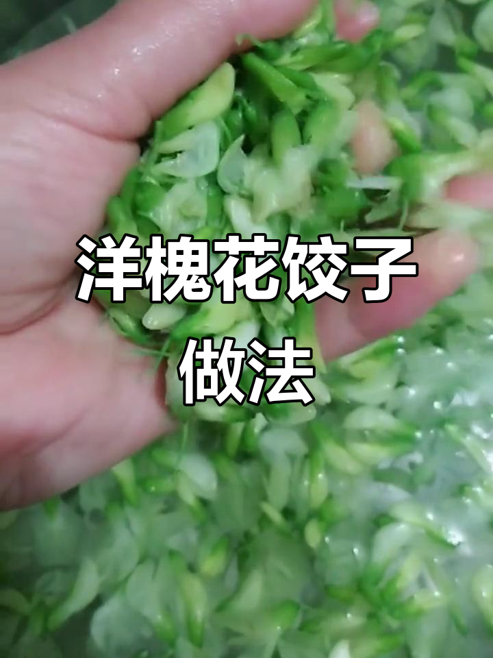 洋槐花饺子,鲜香四溢,快来试试这道美味!