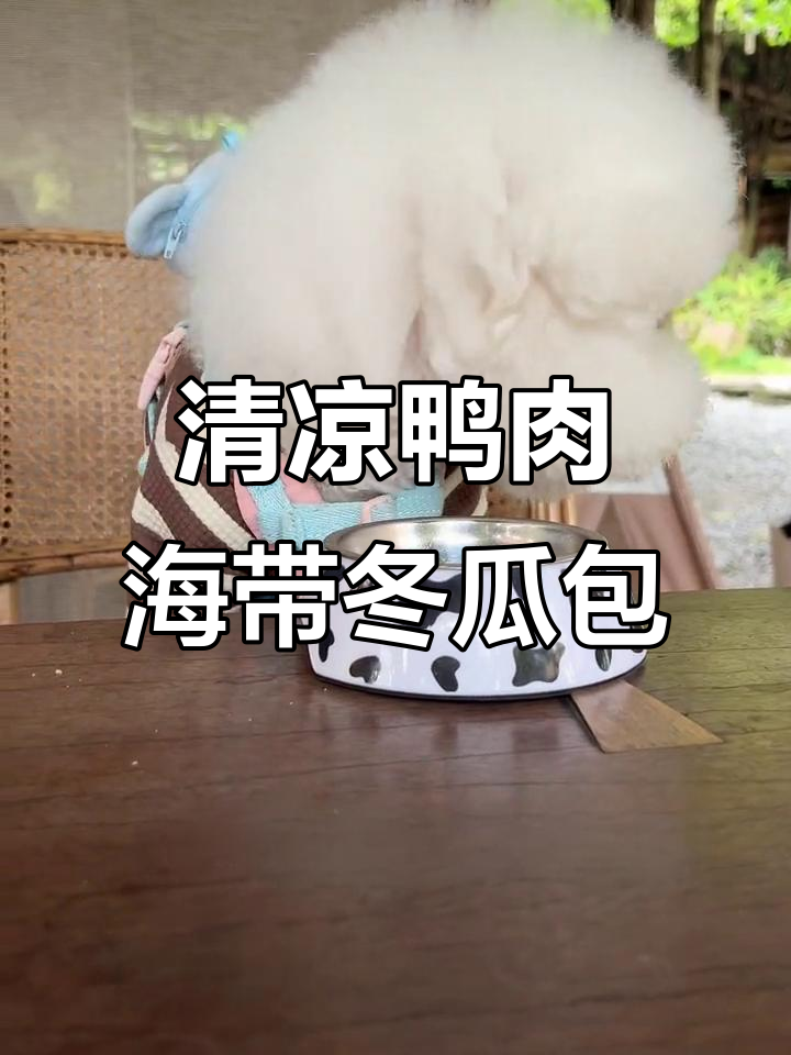 夏季清凉鸭肉海带冬瓜煲,狗狗吃得开心又健康