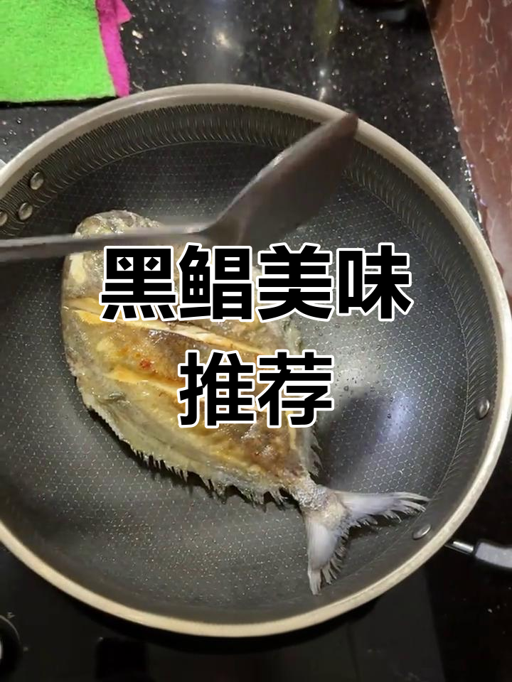 大黑鲳肉质紧实,煎闷红烧皆宜,口感鲜美