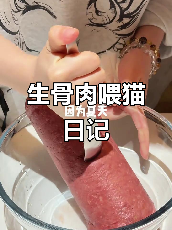 夏季猫咪生骨肉大餐，冻干美味不容错过