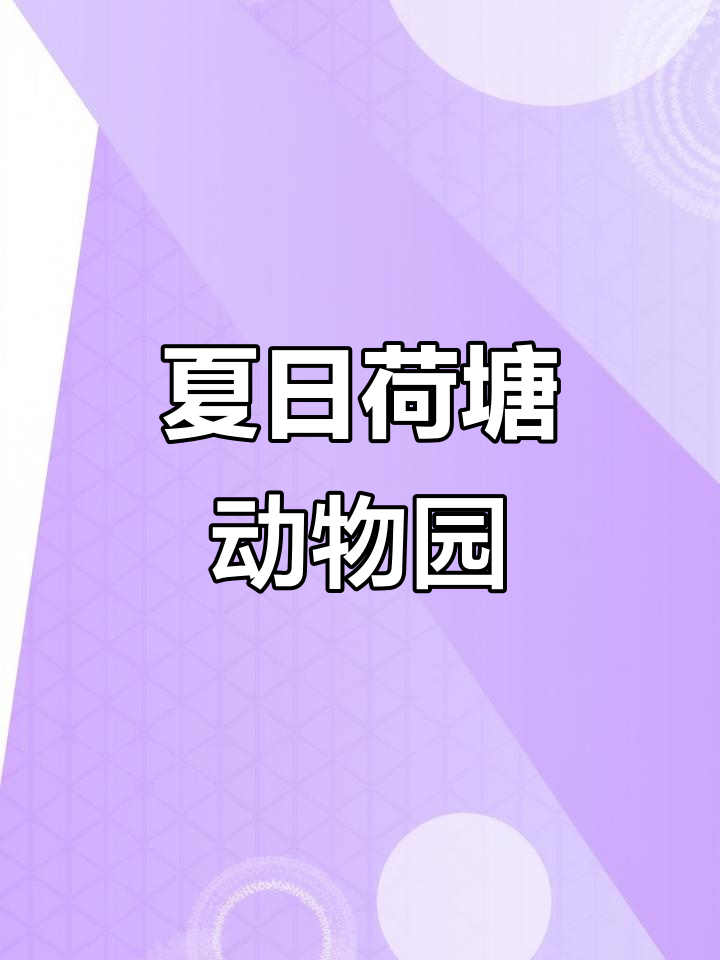 夏天荷塘动物大聚会,天鹅、长颈鹿都来啦!
