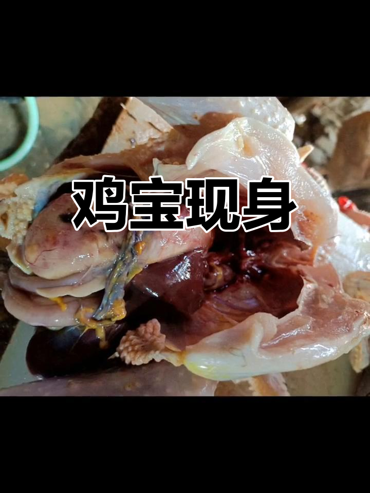 早晨宰鸡,发现硬物,竟是传说中的“鸡宝”!