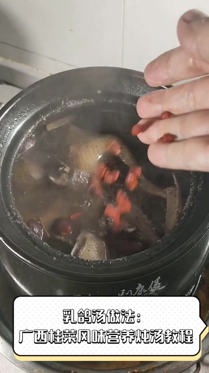 乳鸽汤做法:广西桂菜风味营养炖汤教程