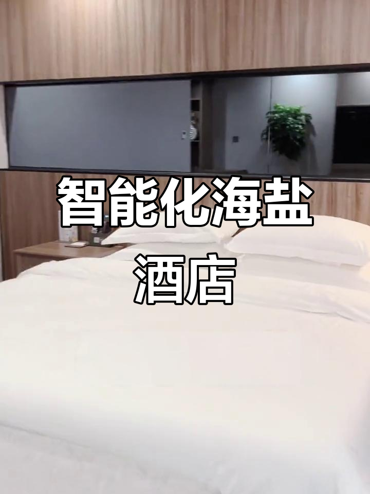 海盐智能酒店,机器人送餐+免费早餐,性价比超高!