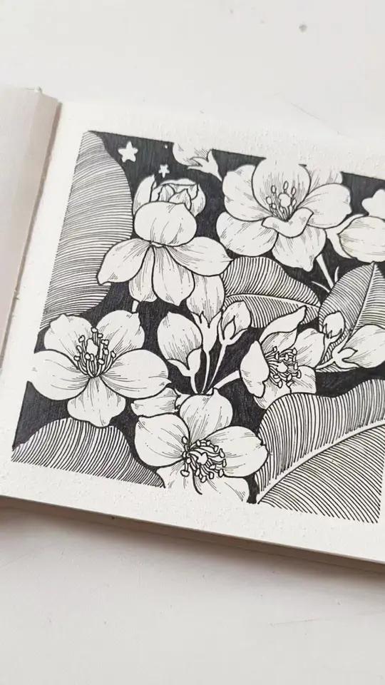 今天画画了吗？#手绘花 #手绘植物花卉 #手画过程 #线描画 #画画