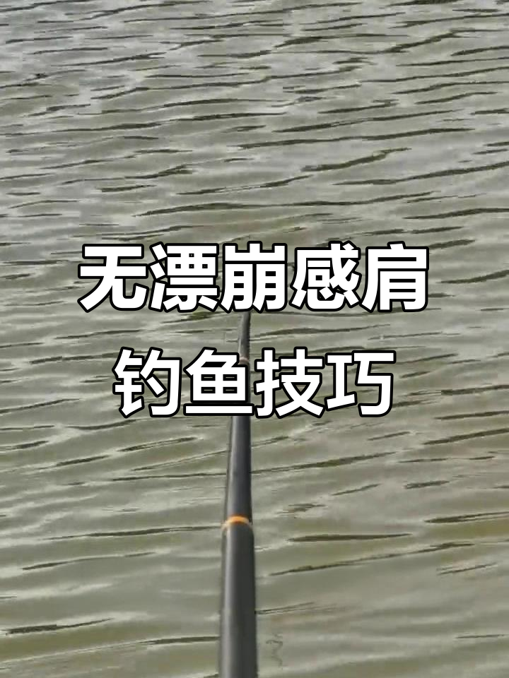 无漂钓法大揭秘,底层鲤鱼轻松捕获