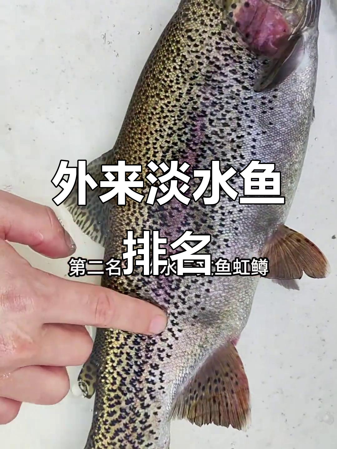 中国十大最好吃的外来淡水鱼，你尝过吗？