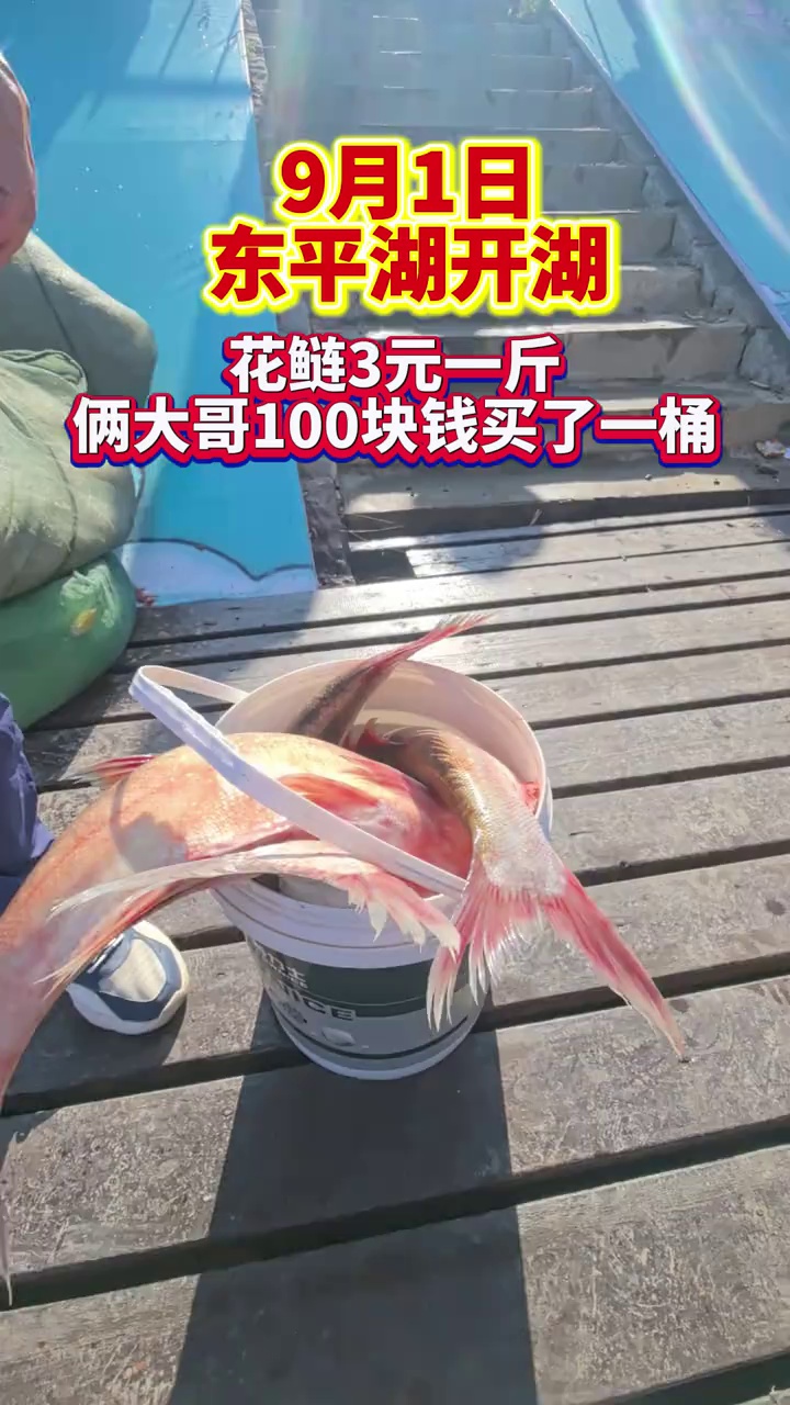 东平湖开湖首日!俩大哥100元抱走33斤鱼,3元/斤装满桶超划算   9月1日东平湖开湖啦