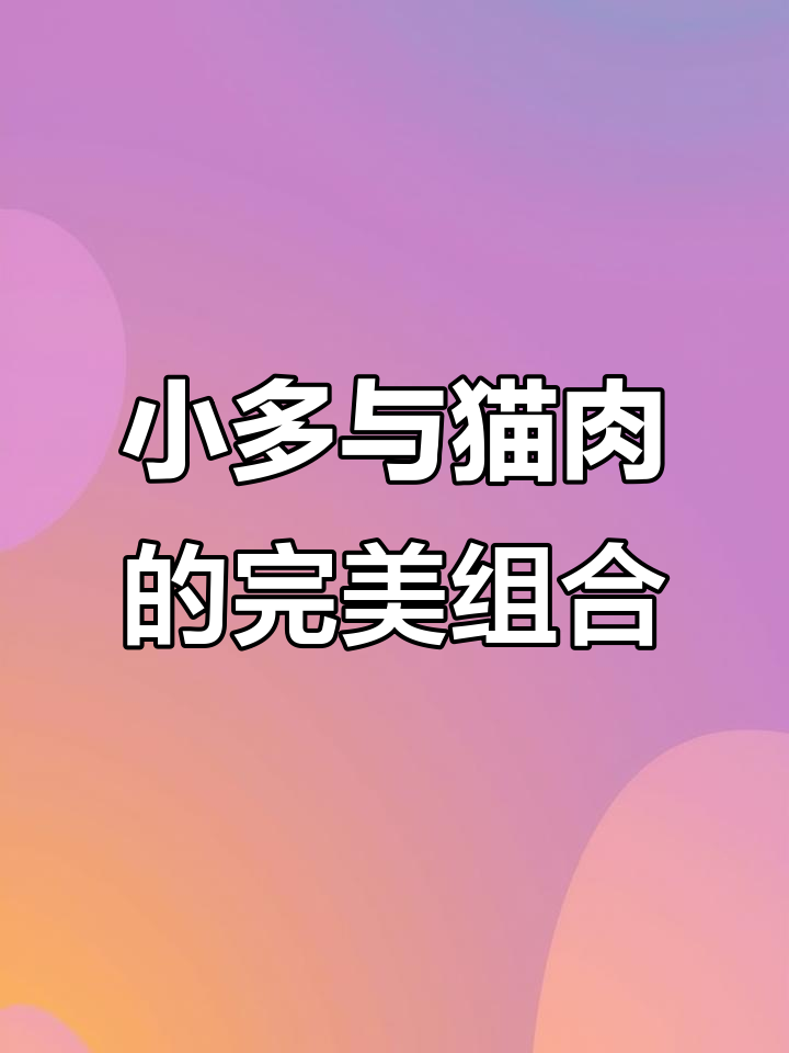 小多可爱又美味,猫肉和笋干筒骨搭配最赞