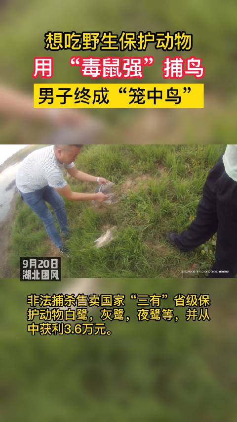 菏检播报「“我知道这些是保护动物,但就想尝尝鲜!”」犯罪嫌疑人李某为了尝鲜,竟将注入“毒鼠
