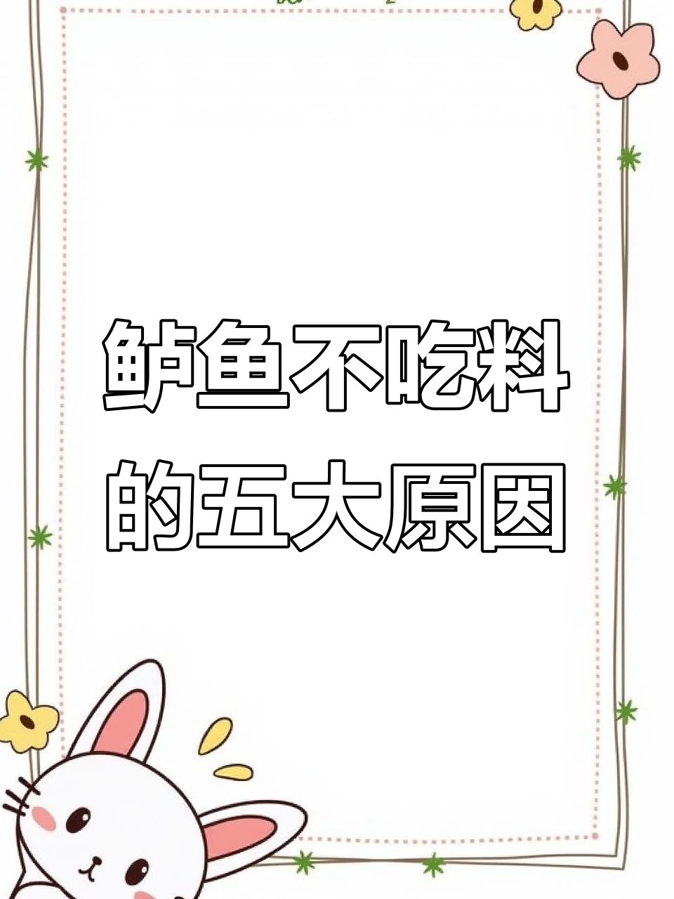 鲈鱼不吃料的原因分析:从水质到饲料问题全解析