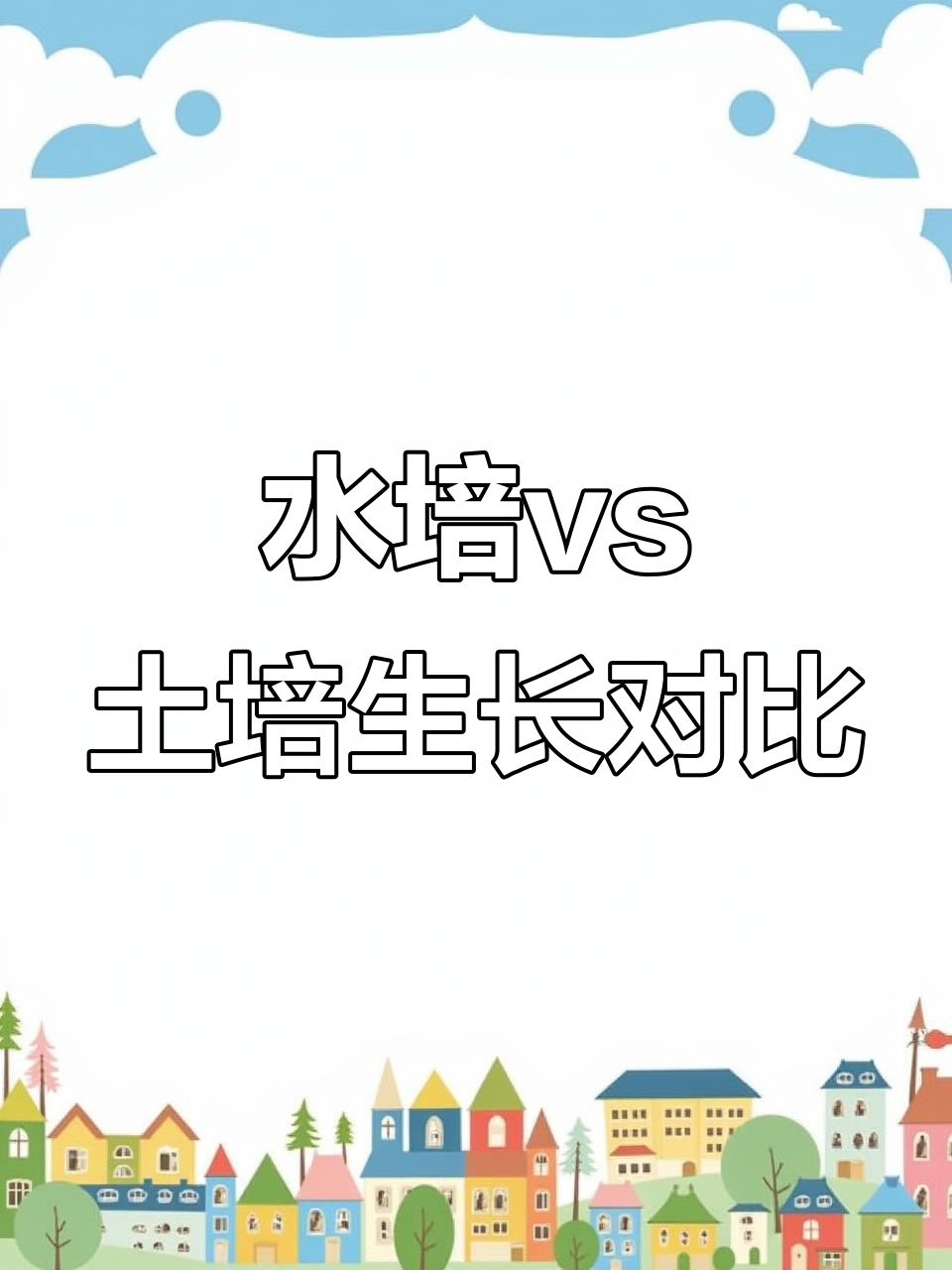 水培与土培大白菜生长对比,水培优势明显